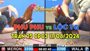 Trận 25 CPC3 11/08/2024 - Gà Phu Phu Đối Đầu Cùng Anh Lộc Tiền Giang