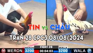 Trận 28 CPC3 08/08/2024 - Anh Cháu Vô Kèo Hủ Màu Quá Thơm