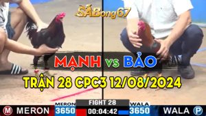 Trận 28 CPC3 12/08/2024 - Anh Hiền Bình Dương Thắng Gọn Anh Lìn