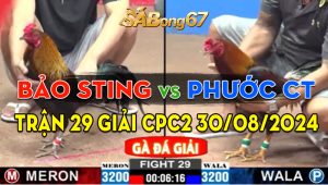 Trận 29 Giải CPC2 30/08/2024 - Anh Bảo Sting Vs Anh Phước Cần Thơ