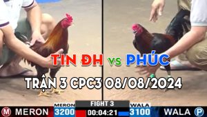 Trận 3 CPC3 08/08/2024 - Gà Anh Phúc Đá 1 Chân Kết Liễu Đối Thủ