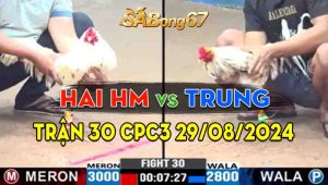 Trận 30 CPC3 29/08/2024 - Gà Anh Trung Đá Đúng 1 Chân Chí Mạng