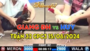 Trận 32 CPC3 15/08/2024 - Gà Anh Giang Đức Hòa Đá Như Máy Khâu