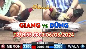 Trận 35 CPC3 06/08/2024 - Gà Anh Dũng Canh Đá Quá Tốc Độ