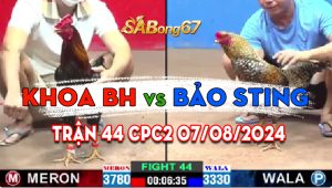 Trận 44 CPC2 07/08/2024 - Bảo Sting Kém 4 Chấm, Hạ Luôn Anh Khoa Biên Hòa