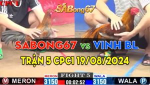 Trận 5 CPC1 19/08/2024 - Sabong67 Đối Đầu Anh Vinh Bảo Lộc