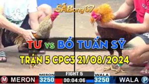 Trận 5 CPC3 21/08/2024 - Gà Anh Bồ Tuấn Sỹ Hạ Luôn Gà Anh Tư