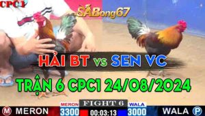 Trận 6 CPC1 24/08/2024 - Anh Hải Bến Tre Gặp Anh Sen Vĩnh Châu