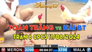 Trận 6 CPC3 11/08/2024 - Anh Hải Bến Tre Thắng Dễ Trước Anh Toàn Trắng