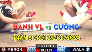 Trận 8 CPC1 29/08/2024 - Anh Danh Vĩnh Lộc Gặp Anh Cường