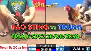 Trận 8 CPC2 28/08/2024 - Anh Bảo Sting Liên Tục Thất Thủ