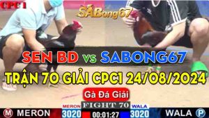 Trận giải 70 CPC1 24/08/2024 - Sabong67 Bị Sen VC Gạt Giò, Bỏ Lỡ Cup Vô Địch