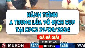 Hành Trình Anh Trung Lúa Vô Địch Cup Tại CPC2 29/09/2024