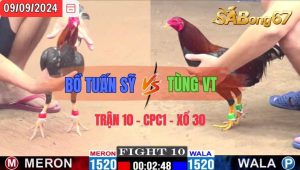 Trận 10 CPC1 09/09/2024 Anh Bồ Tuấn Sỹ Đá Xổ Anh Tùng VT