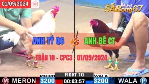 Trận 10 CPC3 01/09/2024 Anh Tý Q6 Đá Xổ Anh Bé CT