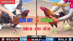 Trận 10 CPC3 10/09/2024 Anh Huy Đá Xổ Anh Phú CM