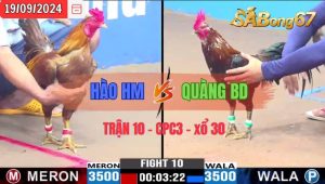 Trận 10 CPC3 19/09/2024 Anh Hào HM Đá Xổ Anh Quàng BD