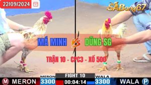 Trận 10 CPC3 22/09/2024 Má Minh Đá Xổ Anh Dũng SG