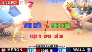 Trận 11 CPC1 19/09/2024 Anh Kiều Đá Xổ Anh Thiện