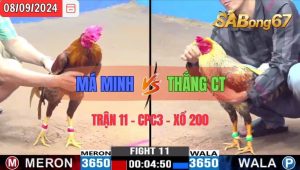 Trận 11 CPC3 08092024 Má Minh Đá Xổ Anh Thắng CT