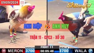 Trận 11 CPC3 09/09/2024 Anh Mập Đá Xổ Anh Huy