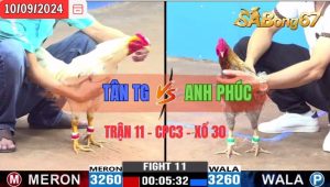 Trận 11 CPC3 10/09/2024 Anh Tân TG Đá Xổ Anh Phúc