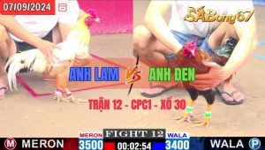 Trận 12 CPC1 07/09/2024 Anh Lam Đá Xổ Anh Đen