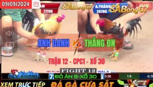 Trận 12 CPC1 09/09/2024 Anh Danh Đá Xổ Anh Thắng ĐN