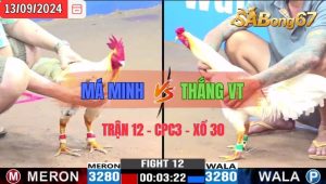 Trận 12 CPC3 13/09/2024 Má Minh Đá Xổ Anh Thắng TV