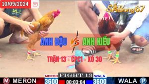 Trận 13 CPC1 10/09/2024 Anh Đậu Đá Xổ Anh Kiều