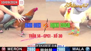 Trận 14 CPC1 10/09/2024 Anh Đen Đá Xổ Anh Định Coca