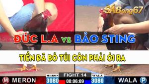 Trận 14 CPC2 25/09/2024 - Anh Đức Long An Và Anh Bảo Sting