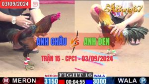 Trận 16 CPC1 03/09/2024 Anh Châu Đá Xổ Anh Đen