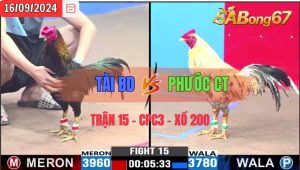 Trận 15 CPC3 16/09/2024 Anh Tài BD Đá Xổ Anh Phước CT