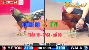 Trận 15 CPC3 19/09/2024 Anh Quàng BD Đá Xổ Anh Tí VL