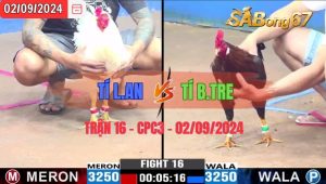 Trận 16 CPC3 02/09/2024 Anh Tí L.An Đá Xổ Anh Tí B.Tre