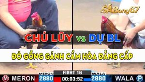 Trận 16 CPC3 28/09/2024 - Chú Lũy Cầm Hòa Anh Dự Bảo Lộc Thành Công