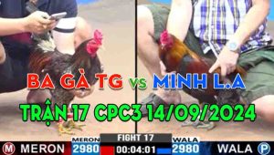 Trận 17 CPC3 14/09/2024 - Anh Ba Gà Tiền Giang Và Anh Minh Long An