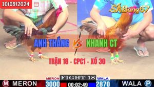 Trận 18 CPC1 10/09/2024 Anh Thắng Đá Xổ Anh Khanh CT