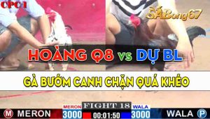 Trận 18 CPC1 30/09/2024 - Anh Hoàng Quận 8 Hạ Đẹp Anh Dự Bảo Lộc