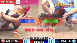 Trận 19 CPC1 19/09/2024 Anh Trung Đn Đá Xổ Anh Chín