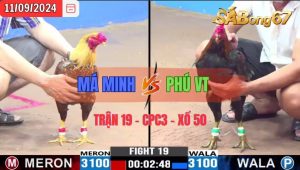 Trận 19 CPC3 11/09/2024 Má Minh Đá Xổ Anh Phú VT