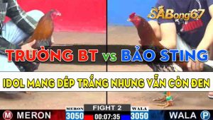 Trận 2 CPC2 29/09/2024 - Bảo Sting Ra Quân Bị Trường Bến Tre Dập Tới Tấp