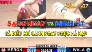 Trận 21 Giải CPC1 23/09/2024 - Gà Sabong67 Đá Anh Minh Vũng Tàu Té Xỉu