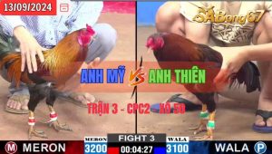 Trận 3 CPC2 13/09/2024 Anh Mỹ Đá Xổ Anh Thiên