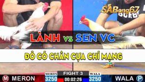 Trận 3 CPC2 29/09/2024 - Anh Lành Vũng Tàu Lụm Luôn Anh Sen Vĩnh Châu