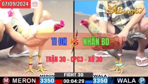 Trận 30 CPC3 07/09/2024 Anh Ti Đ.Nai Đá Xổ Anh Nhân B.Dương