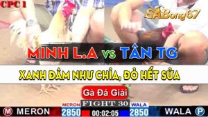 Trận 30 Giải CPC1 23/09/2024 - Gà Tân Tiền Giang Đá Minh Long An Hết Sửa