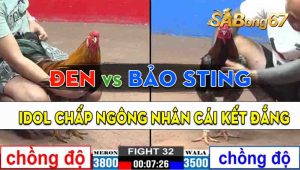 Trận 32 CPC2 25/09/2024 - Anh Bảo Sting Chấp Ngông, Nhận Cái Kết Đắng