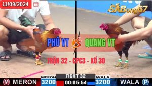 Trận 32 CPC3 11/09/2024 Anh Phú VT Đá Xổ Anh Quang VT